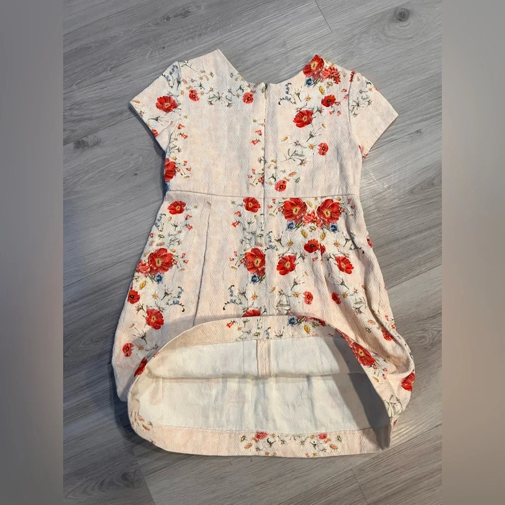 ZARA Floral Embroidered Dress‎
